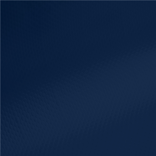 ProTarp Blue
